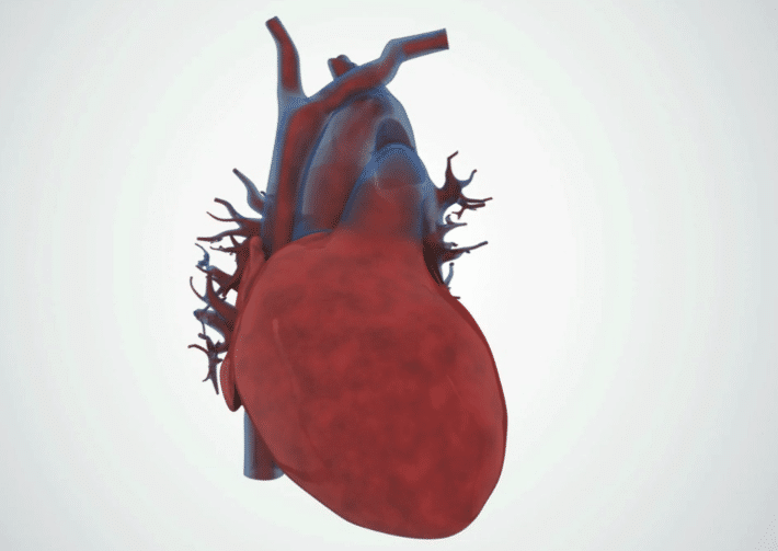 Aplicaciones Ecuaciones Diferenciales Marcapaso de corazón